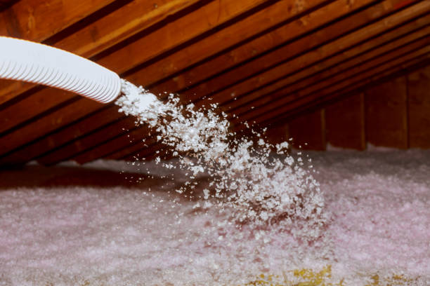 Types of Insulation We Offer in Meridian Village, CO