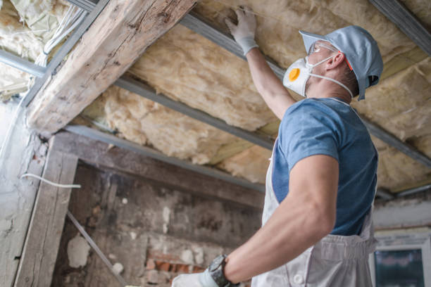 Best Blown-in Insulation in Meridian Village, CO