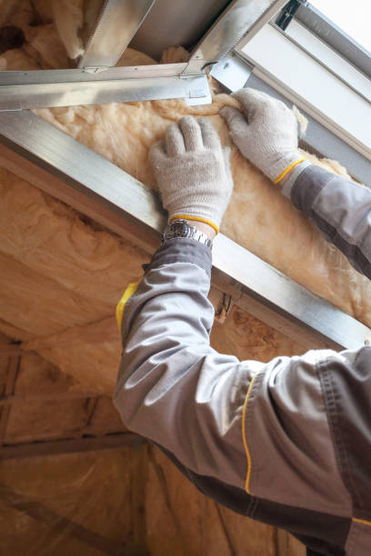 Best Commercial Insulation in Meridian Village, CO